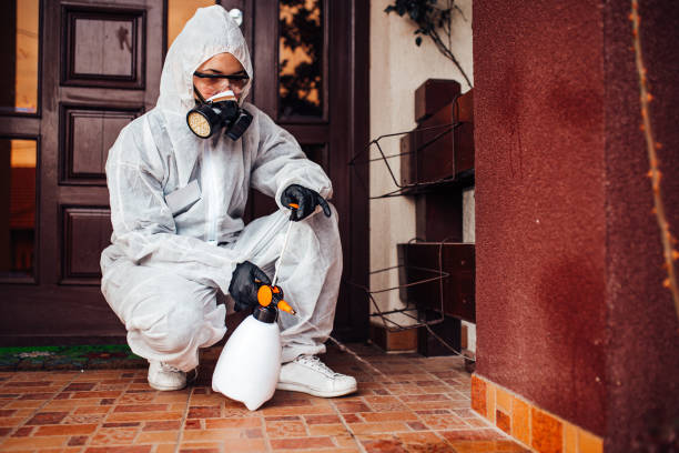 Attic and Crawl Space Rodent Treatment in East Orange